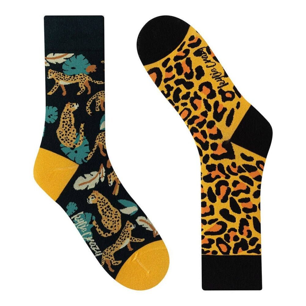 Skietki Leopard Skietki Leopard